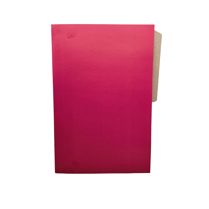 Carpeta de Cartulina con pestaña Economica    1