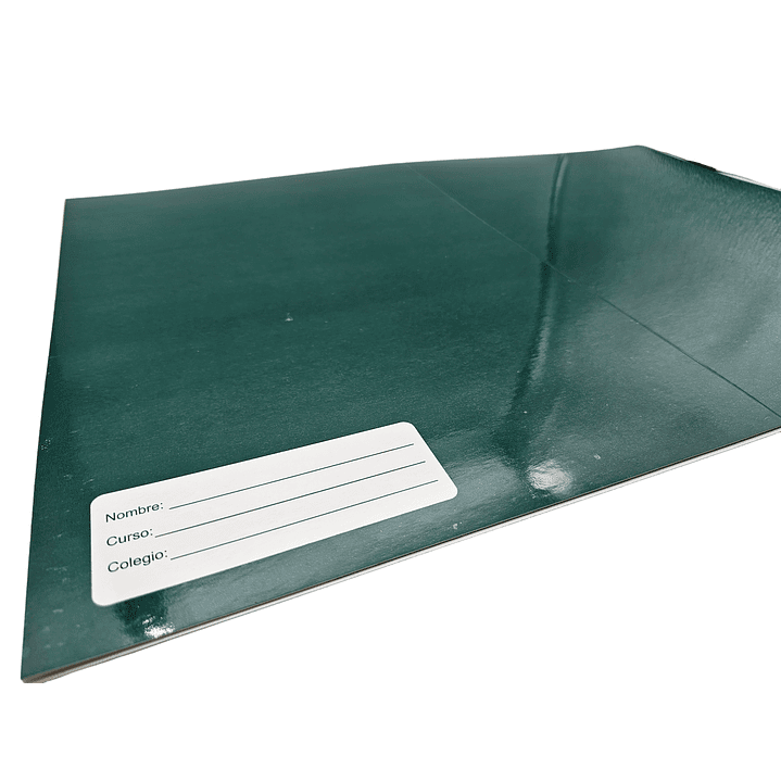 Protecto para mesa escritorio escolar Nilsa 2