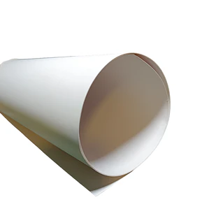 Carton Forrado 245g 77x110cm