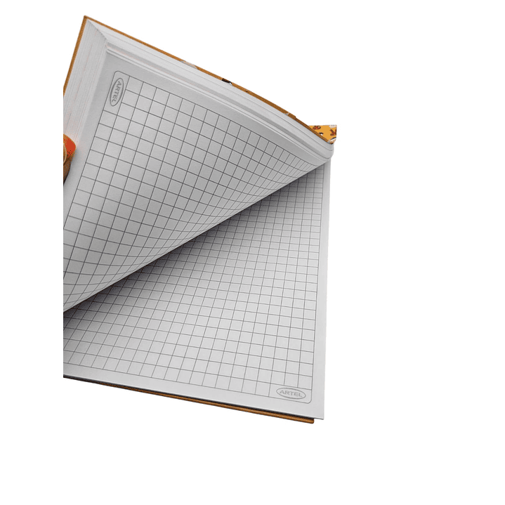 Cuaderno 3 materias Artel 31 minutos  5