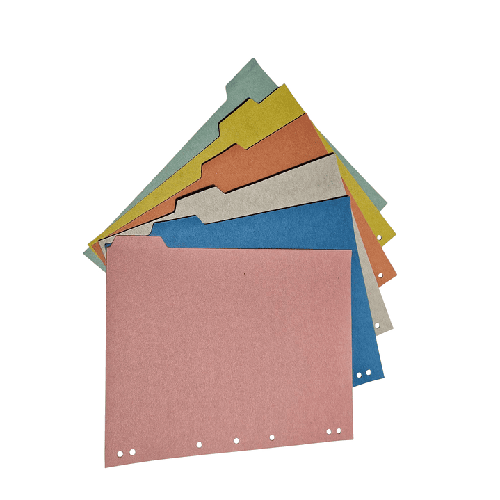 Separador Tamaño Carta 6 unidades 2