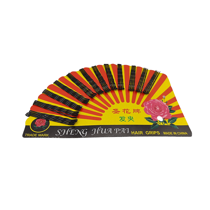 Pinche Negro Abanico 1