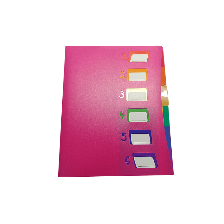 Carpeta con Funda Tipo Archivador 9