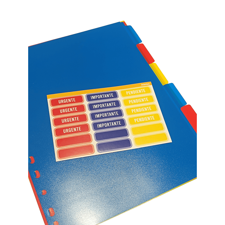 Separadores Plastico Carta Para Archivador 3