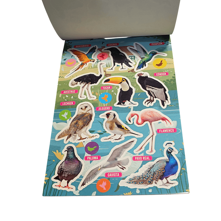 Sticker Ayuda Escolar - Animales 3