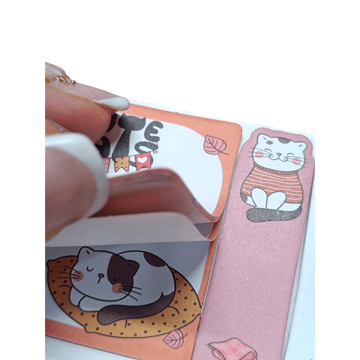 Nota Adhesivas GATO 13