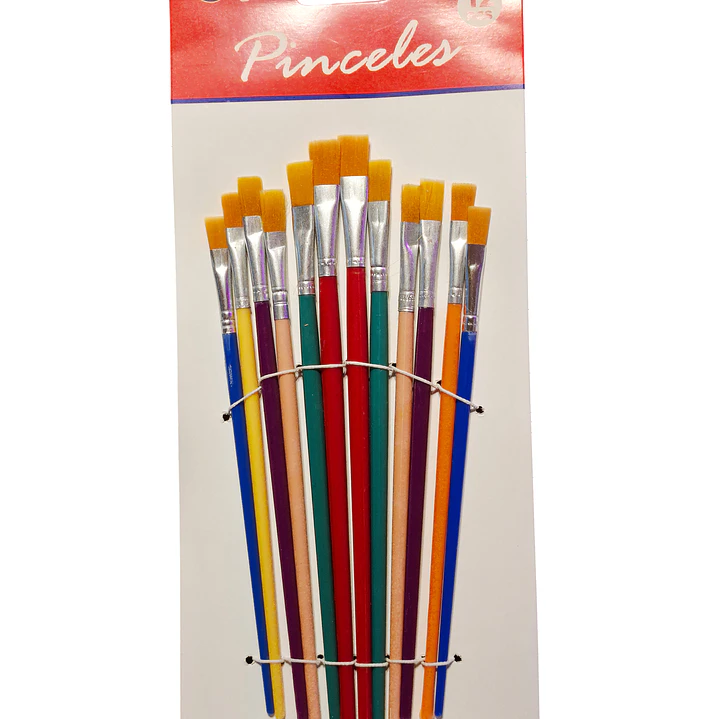 Set 12 Pinceles Plano Varios Tamaños Mango Plastico 2