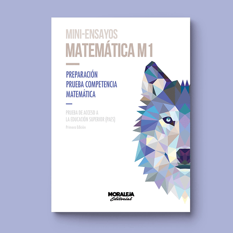 Mini Ensayos Matemática M1 | 1ª Edición