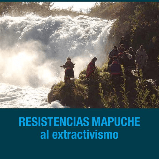 Resistencia mapuche al extractivismo