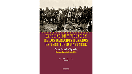 Expoliación y violación de los derechos humanos en territorio mapunche