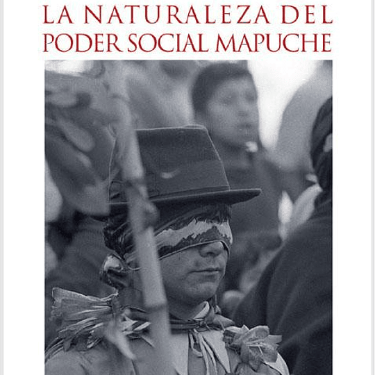 La naturaleza del poder social mapuche