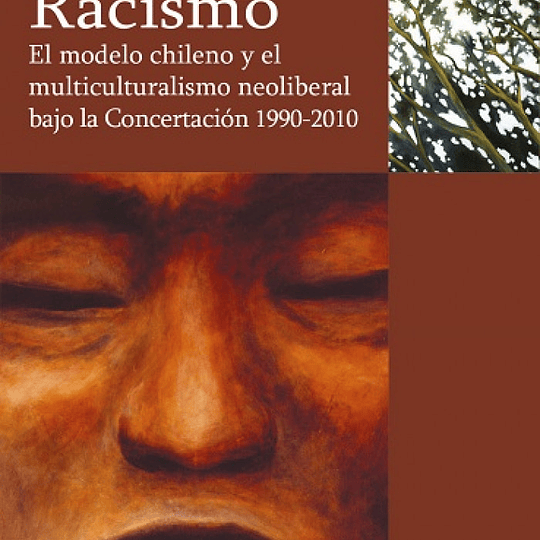 Racismo. El modelo chileno y el multiculturalismo neoliberal