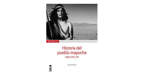 Historia del pueblo mapuche. Siglo XIX y XX