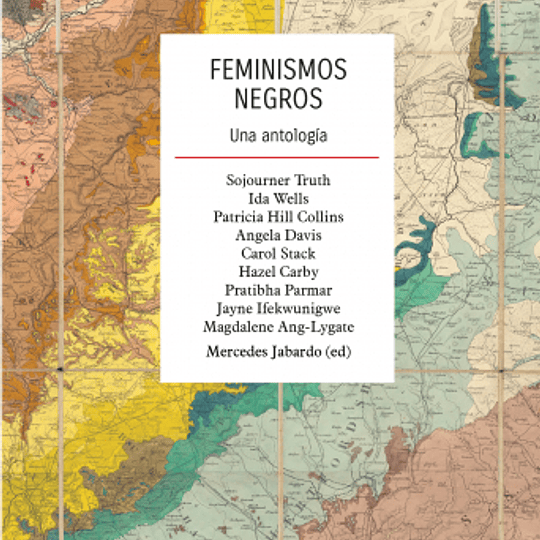  Feminismos negros. Una antología