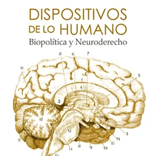 Dispositivos de lo humano. Biopolítica y Neuroderecho