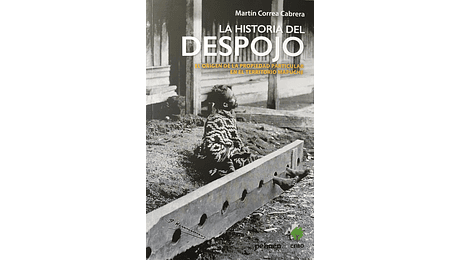 La historia del despojo. El origen de la propiedad particular en el territorio mapuche