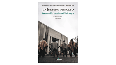 In. Debido proceso. Persecución penal en el Wallmapu