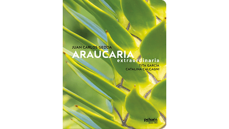 ARAUCARIA extraordinaria