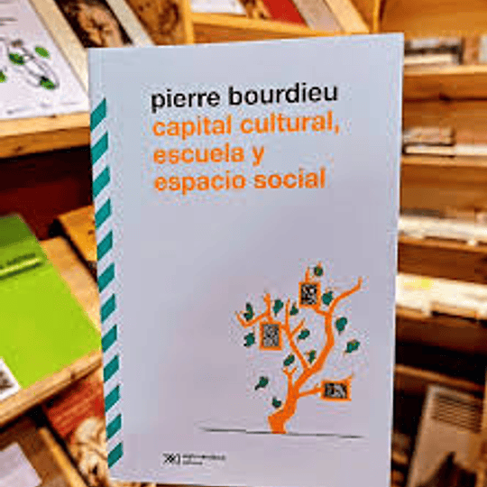 Capital cultural, escuela y espacio social