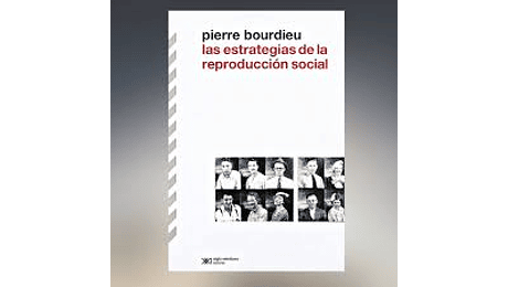 Las estrategias de la reproducción social