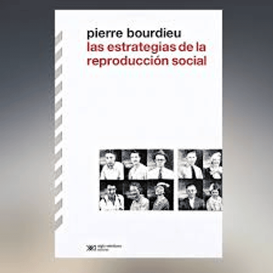 Las estrategias de la reproducción social