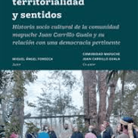 Lucha indígena, territorialidad y sentidos