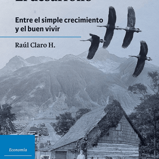 El Desarrollo.  Entre el simple crecimiento y el buen vivir