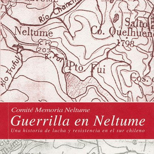 Guerrilla en Neltume