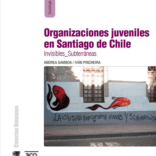 Organizaciones juveniles en Santiago de Chile