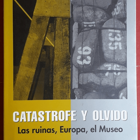 Catástrofe y olvido. Las ruinas, Europa y elmuseo