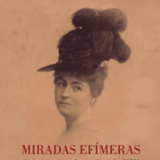Miradas efímeras. Cultura visual en el siglo XIX