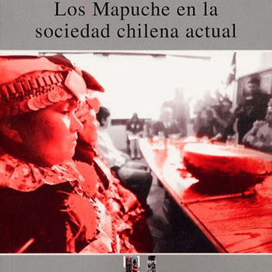Los Mapuche en la sociedad chilena actual