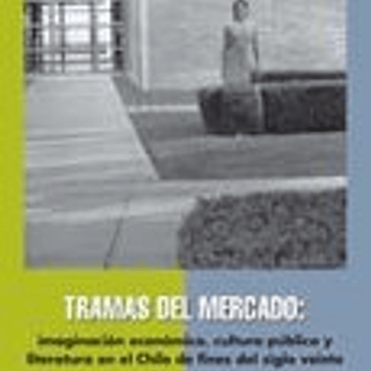 Tramas del mercado: Imaginación económica, cultura pública y literatura en el Chile de fines del siglo veinte