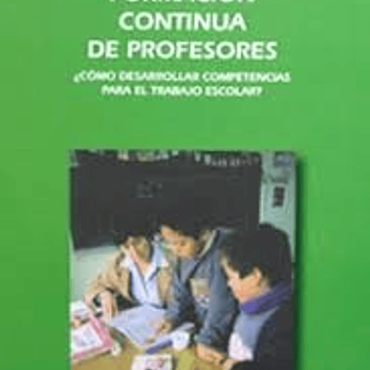 Formación continua de profesores. ¿Cómo desarrollar competencias para el trabajo escolar?