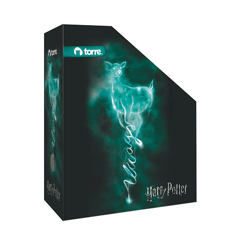 Caja Multiorden Harry Potter