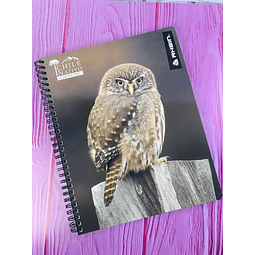 Cuaderno Universitario Nativo 100hojas 7mm Rhein