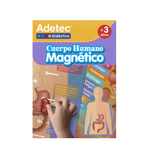 Laminas Magneticas Cuerpo Humano Adetec