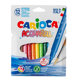 Plumones Acquarell 12 Colores Carioca