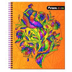 Cuaderno Universitario One Color 7 Mm 100 Hjs Torre