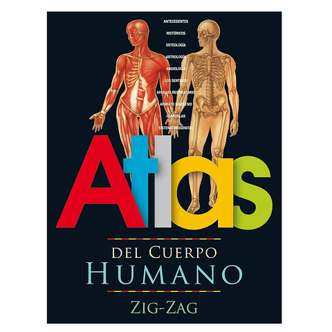 Atlas Del Cuerpo Humano Zig-Zag 