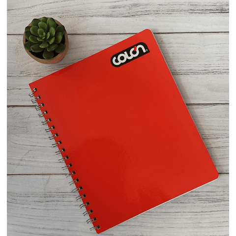 Cuaderno  Universitario Liso 7mm 100 Hjs Colon.