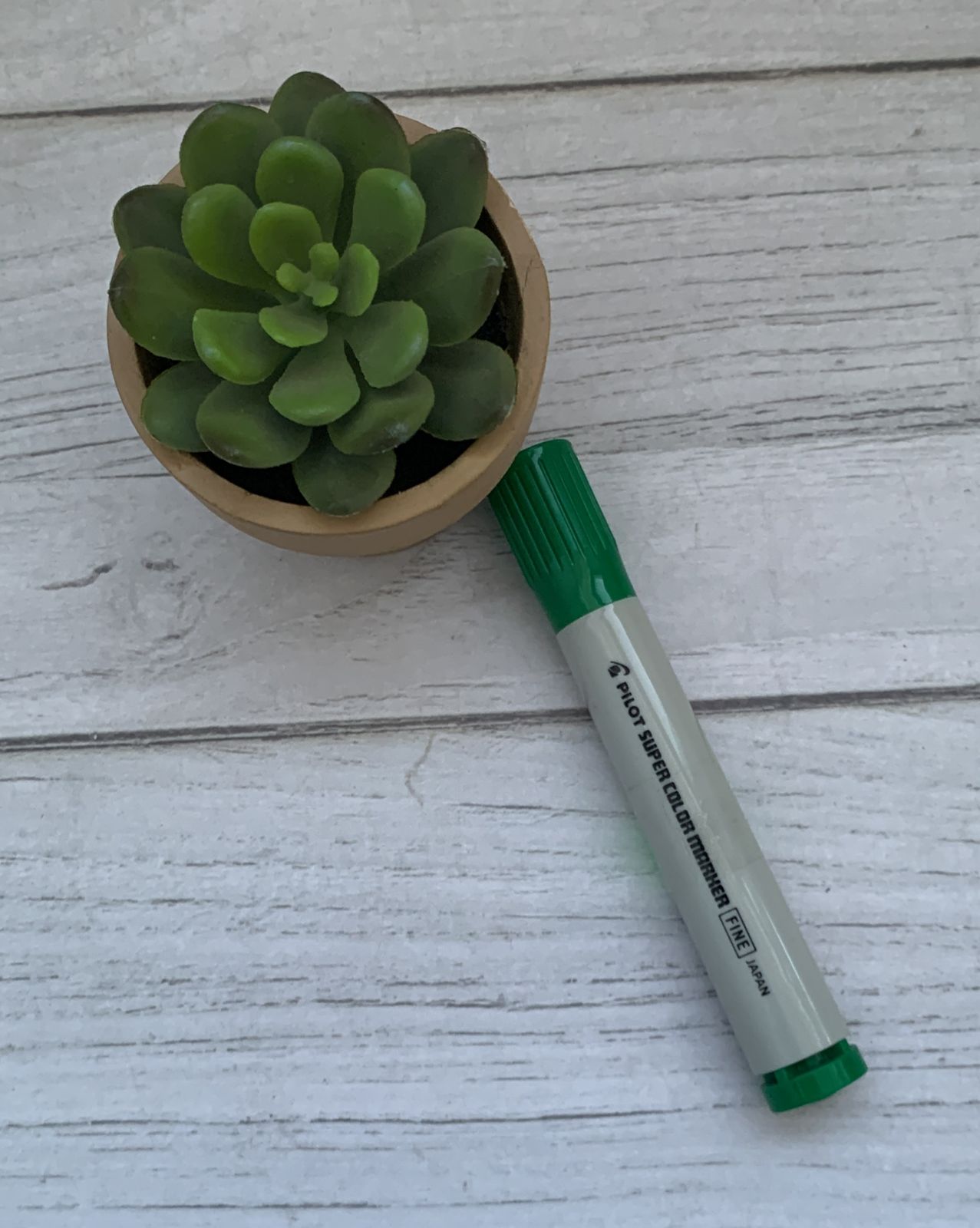 Plumón Permanente Pilot Plástico Verde.