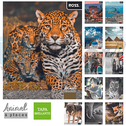 Cuaderno Universitario 100 Hjs 7 Mm Animal And Places  ROSS 