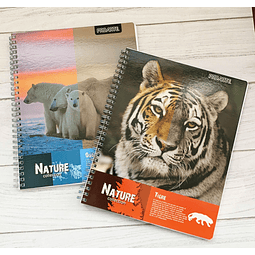 Cuaderno Universitario 7mm 100 Hjs Proarte