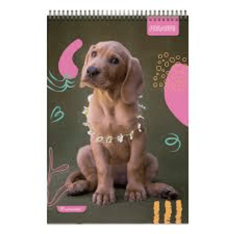 Croquera 16 x 21 Animales Adorables.