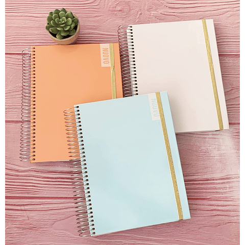 Cuaderno Medio Oficio 4 Materia 200 Hjs 5 Mm Nuovo Pastel