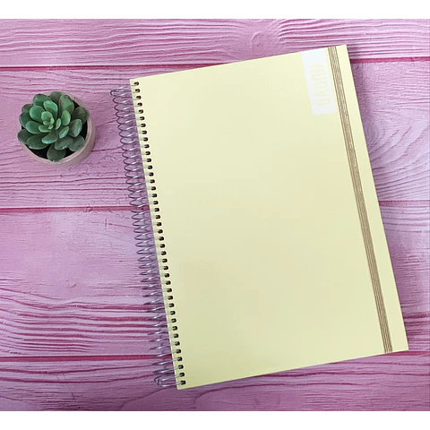 Cuaderno Carta 4 Materias 200 Hjs 7 Mm Nuovo Pastel