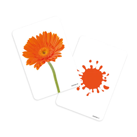 SET LAMINAS OBJETOS Y COLORES 12x8CM (036) DACTIC