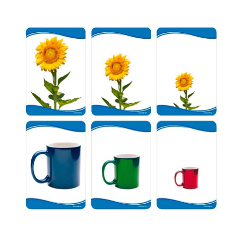 SET LAMINAS SECUENCIA DE TAMAÑOS 12x8CM (038) DACTIC