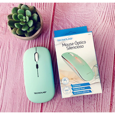 Mouse Inalámbrico Optico Silencioso Tecnolab